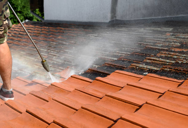 Best Concrete Pressure Washing  in Mitchellville, MD