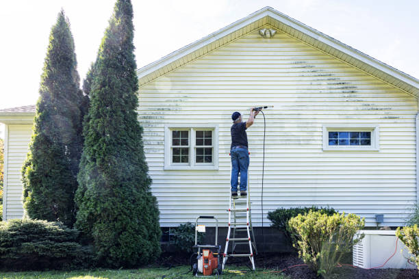 Best Pressure Washing Company Near Me  in Mitchellville, MD